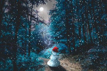 Adventskalender 2025